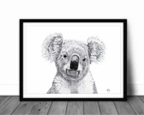 Koala Portrait